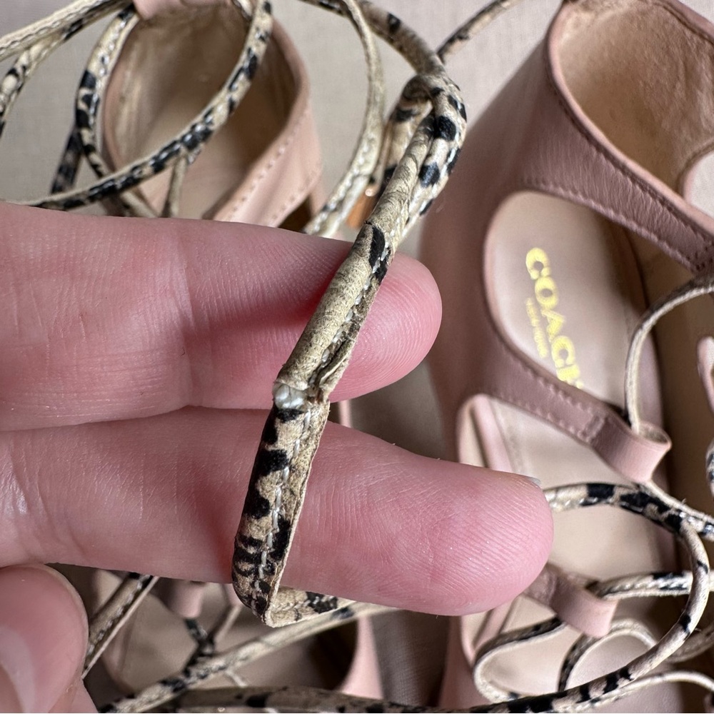 Coach Kira - image 5